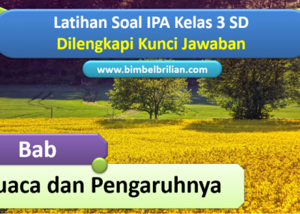 Mengenal Cuaca: Sahabat Setia Kehidupan Kita