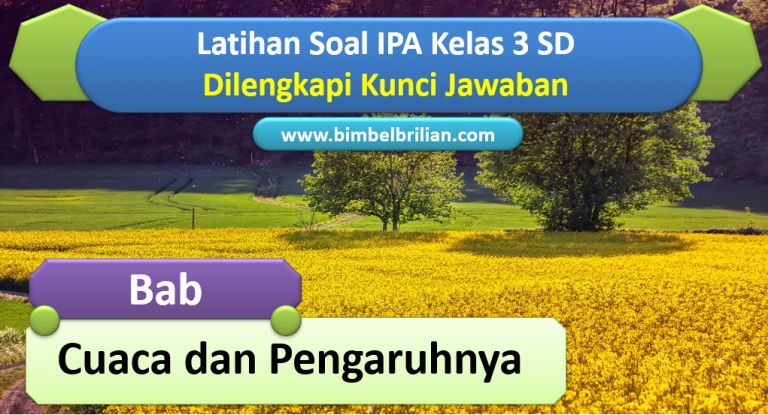 Mengenal Cuaca: Sahabat Setia Kehidupan Kita