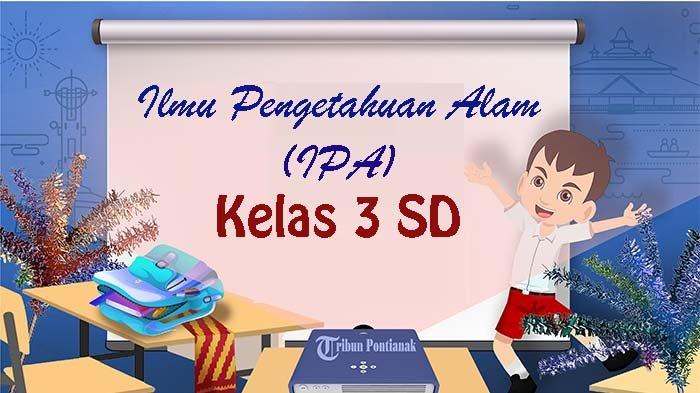 Mengenal Dunia Cuaca: Petualangan Seru di Sekitar Kita (IPA Kelas 3 Semester 2)