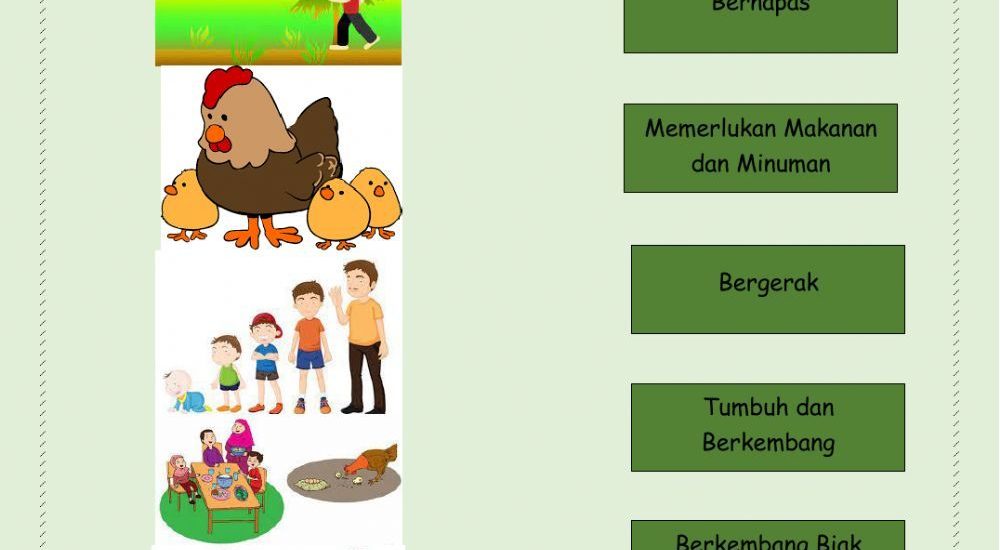 Mengenal Keajaiban di Sekitar Kita: Ciri-Ciri Makhluk Hidup (IPA Kelas 3 SD Semester 1)