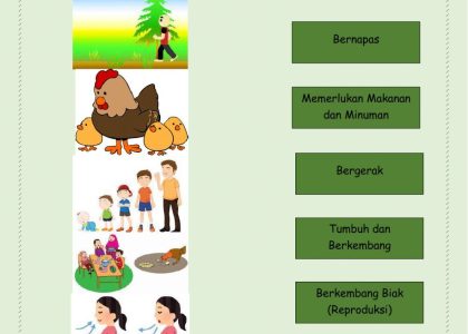 Mengenal Keajaiban di Sekitar Kita: Ciri-Ciri Makhluk Hidup (IPA Kelas 3 SD Semester 1)
