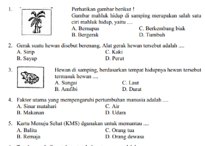 Menguasai IPA Kelas 3 SD Semester 1 Kurikulum 2013: Panduan Lengkap dan Strategi Belajar Efektif