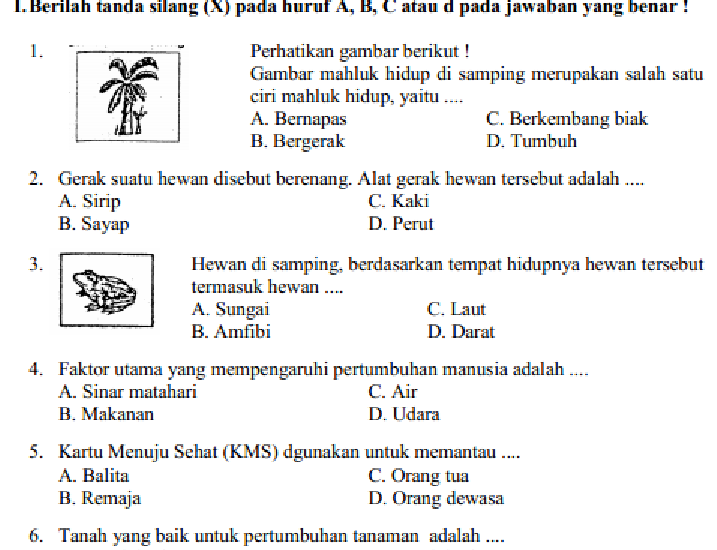 Menjelajahi Dunia Sains Bersama: Panduan Soal IPA Kelas 3 Semester 1 Kurikulum 2006