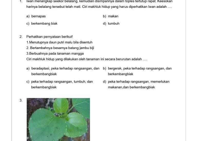 5 Contoh Soal HOTS SD Kelas 3 Tema Ciri-Ciri Makhluk Hidup yang Wajib Dikuasai di 2026