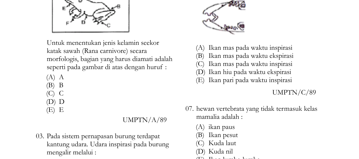 5 Rahasia Contoh Soal Bab 5 Biologi Kelas 11 Semester 1 yang Sering Muncul di Ujian 2026