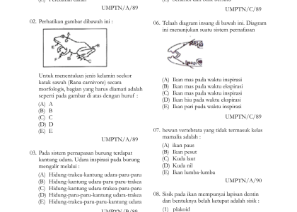 7 Contoh Soal Bab 5 Biologi Kelas 11 Semester 1 yang Wajib Kamu Kuasai Sebelum Ujian 2026